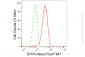 KD-Validated Anti-STAT3 Rabbit Monoclonal Antibody