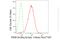 KD-Validated Anti-TANK Binding Kinase 1 Rabbit Monoclonal Antibody