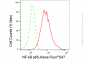 KD-Validated Anti-NF-kB p65 Rabbit Monoclonal Antibody