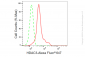 KD-Validated Anti-HDAC3 Rabbit Monoclonal Antibody