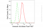 KD-Validated Anti-Annexin 4 Rabbit Monoclonal Antibody