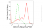 KD-Validated Anti-Cell Division Cycle 123 Rabbit Monoclonal Antibody