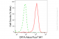 KD-Validated Anti-DFFA Rabbit Monoclonal Antibody