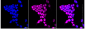 KD-Validated Anti-DFFA Rabbit Monoclonal Antibody