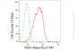 KD-Validated Anti-Flap Structure-Specific Endonuclease 1 Rabbit Monoclonal Antibody