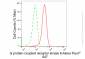 KD-Validated Anti-G Protein-Coupled Receptor Kinase 6 Rabbit Monoclonal Antibody