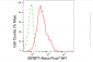 KD-Validated Anti-IGFBP7 Rabbit Monoclonal Antibody