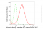 KD-Validated Anti-Kinesin Family Member 2C Rabbit Monoclonal Antibody