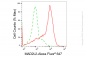 KD-Validated Anti-Mitotic Arrest Deficient 2 Like 2 Rabbit Monoclonal Antibody