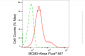 KD-Validated Anti-MCM5 Rabbit Monoclonal Antibody