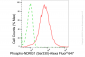 KD-Validated Anti-Phospho-NDRG1 (Ser330) Rabbit Monoclonal Antibody