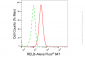 KD-Validated Anti-RELB Rabbit Monoclonal Antibody