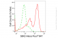 KD-Validated Anti-Ribosomal Protein S6 Kinase B2 Rabbit Monoclonal Antibody