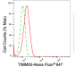 KD-Validated Anti-TIMM50 Rabbit Monoclonal Antibody