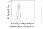 KD-Validated Anti-NK2 Homeobox 1 Rabbit Monoclonal Antibody