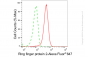 KD-Validated Anti-Ring Finger Protein 2 Rabbit Monoclonal Antibody