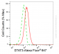 KD-Validated Anti-STAT3 Mouse Monoclonal Antibody
