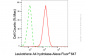 KD-Validated Anti-Leukotriene A4 Hydrolase Mouse Monoclonal Antibody