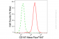 KD-Validated Anti-Basigin (Ok Blood Group) Mouse Monoclonal Antibody