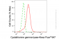 KD-Validated Anti-Cystathionine Gamma-Lyase Mouse Monoclonal Antibody