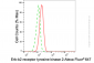KD-Validated Anti-ERBB2 Mouse Monoclonal Antibody