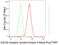 KD-Validated Anti-ERBB2 Mouse Monoclonal Antibody