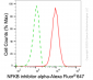 KD-Validated Anti-NFKBIA Mouse Monoclonal Antibody