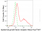 KD-Validated Anti-Epidermal Growth Factor Receptor Mouse Monoclonal Antibody
