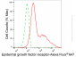 KD-Validated Anti-Epidermal Growth Factor Receptor Mouse Monoclonal Antibody