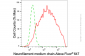 KD-Validated Anti-NEFM Mouse Monoclonal Antibody