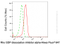 KD-Validated Anti-ARHGDIA Mouse Monoclonal Antibody
