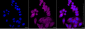 KD-Validated Anti-ARHGDIA Mouse Monoclonal Antibody