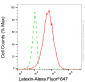 KD-Validated Anti-Latexin Mouse Monoclonal Antibody