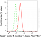 KD-Validated Anti-SERPINB1 Mouse Monoclonal Antibody