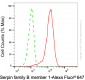 KD-Validated Anti-SERPINB1 Mouse Monoclonal Antibody