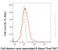 KD-Validated Anti-CDCA8 Mouse Monoclonal Antibody