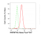 KD-Validated Anti-HNRNPA0 Mouse Monoclonal Antibody