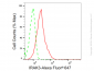 KD-Validated Anti-IRAK3 Rabbit Monoclonal Antibody