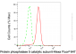 KD-Validated Anti-PPP5C mouse monoclonal antibody