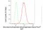 KD-Validated Anti-Glucose-6-phosphate dehydrogenase Rabbit Monoclonal Antibody