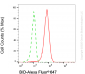KD-Validated Anti-BID Mouse Monoclonal Antibody