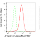 KD-Validated Anti-Annexin A1 Rabbit Monoclonal Antibody