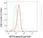 KD-Validated Anti-BTF3 Rabbit Monoclonal Antibody