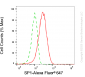 KD-Validated Anti-Sp1 Transcription Factor Mouse Monoclonal Antibody