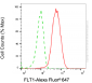 KD-Validated Anti-FLT1 Mouse Monoclonal Antibody