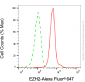 KD-Validated Anti-EZH2 Mouse Monoclonal Antibody
