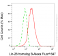 KD-Validated Anti-Lin-28 Homolog B Mouse Monoclonal Antibody