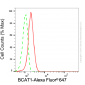 KD-Validated Anti-BCAT1 Mouse Monoclonal Antibody