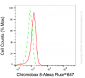KD-Validated Anti-CBX8 Mouse Monoclonal Antibody