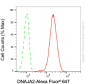 KD-Validated Anti-DNAJA2 Mouse Monoclonal Antibody